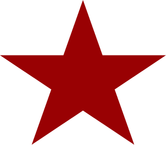 Estrela Decorativa